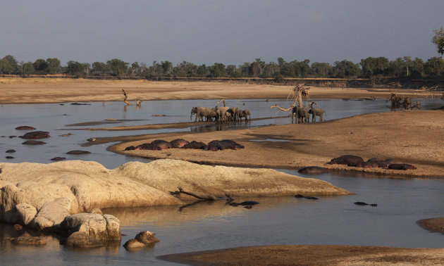 Luangwa Rivier 