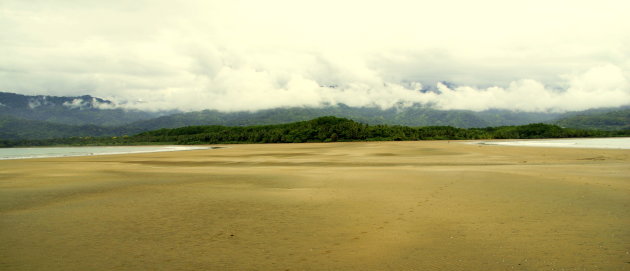 Marino Ballena.