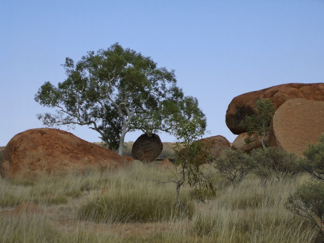 Outback beeld...