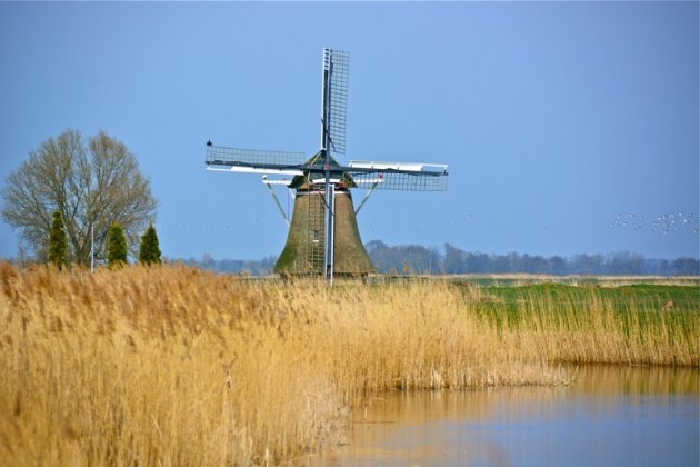 De Bullemolen