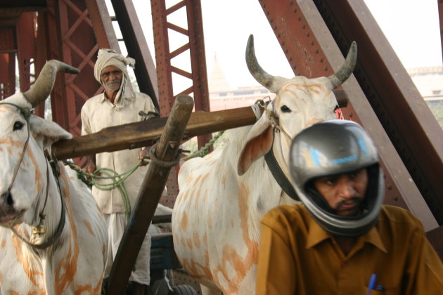 Verkeer op een brug in Agra.