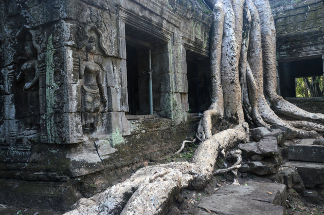 Ta Prohm Ruïne