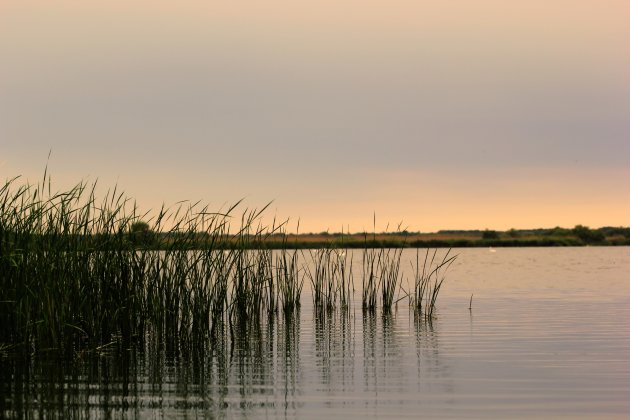 Rust in de Donau- delta