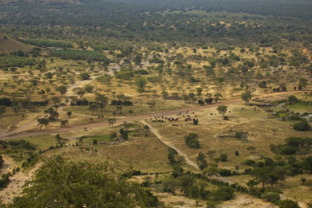 Lake Mburo NP