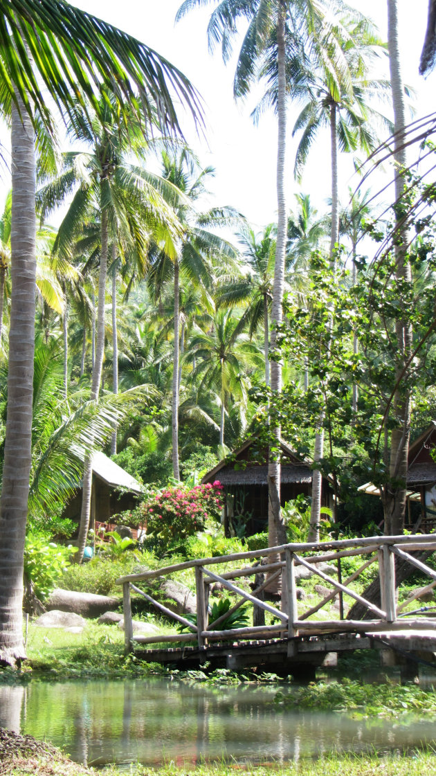 Sai Nuan on Koh Tao