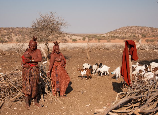 Himba dorp