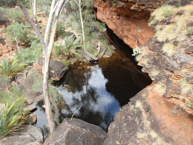 Kings Canyon