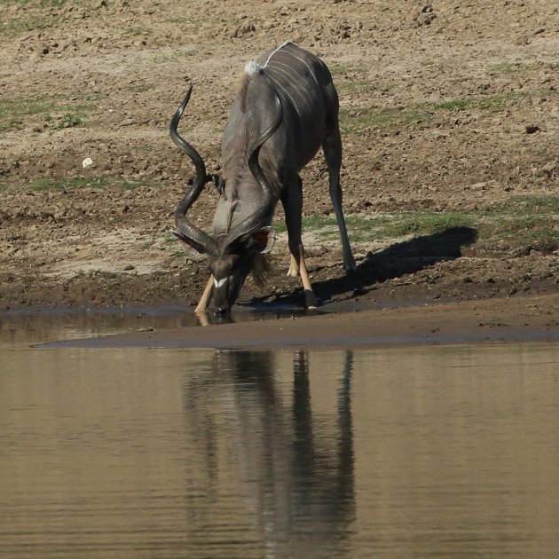 Dorst lessen