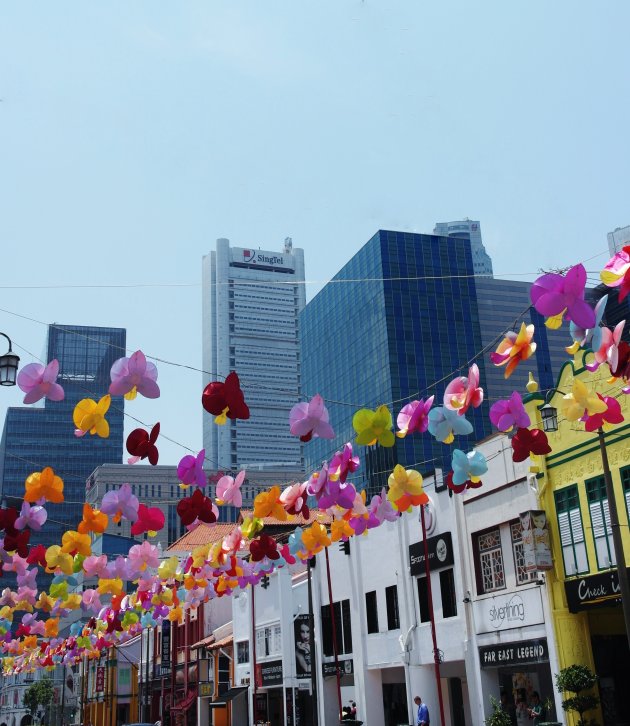 Flowers in Chinatown