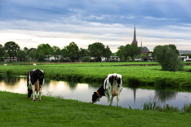 Ulvenhout, Breda