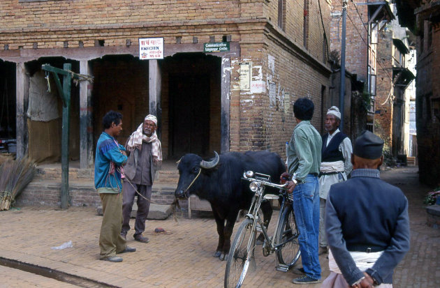 Communicative language centre