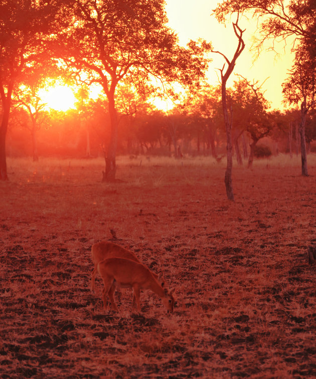 Zonsondergang