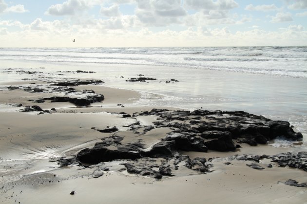 Kustlijn op Fraser Island