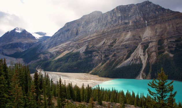 Volg de water aderen van Peyto Lake