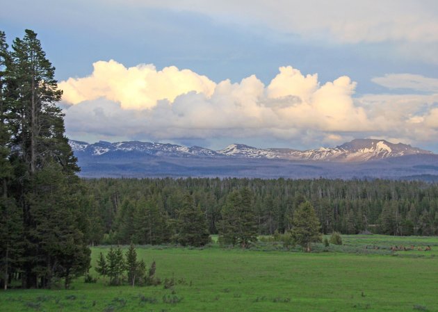 Sunset Yellowstone