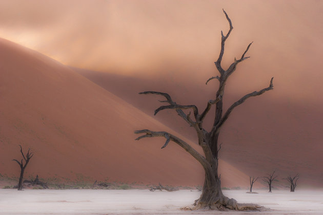 Dead Vlei