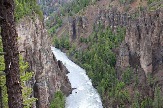 Yellowstone river