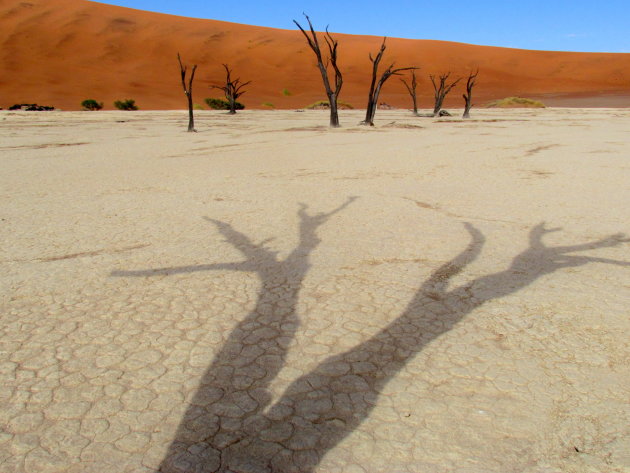 Dead Vlei