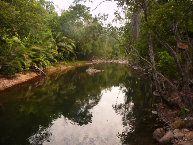 Het 'zwembad' van Platypus Bushcamp