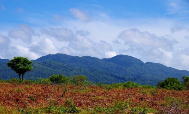 Onderweg naar Trinidad