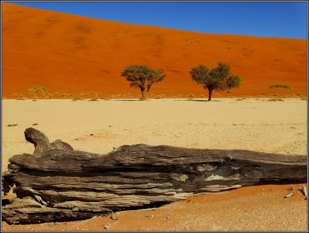 Dead Vlei. 