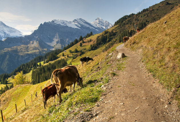 omgeving Interlaken