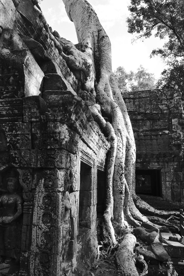 Ta Prohm