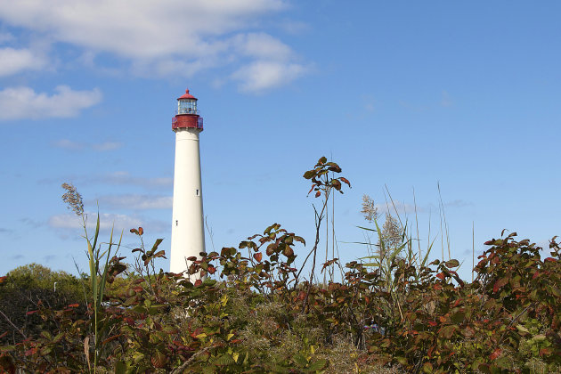 Lighthouse Cape May 