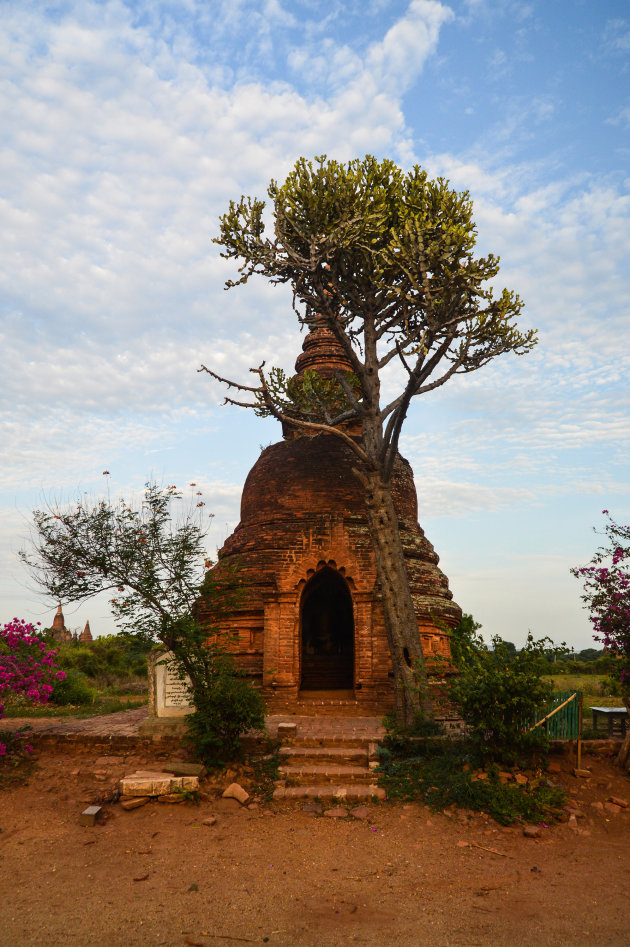 Mini Stupa