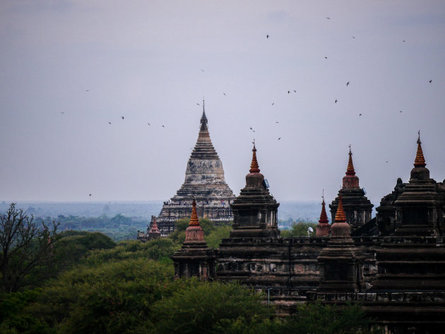 Birds and Temples