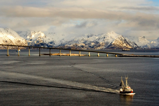 Lofoten in winter