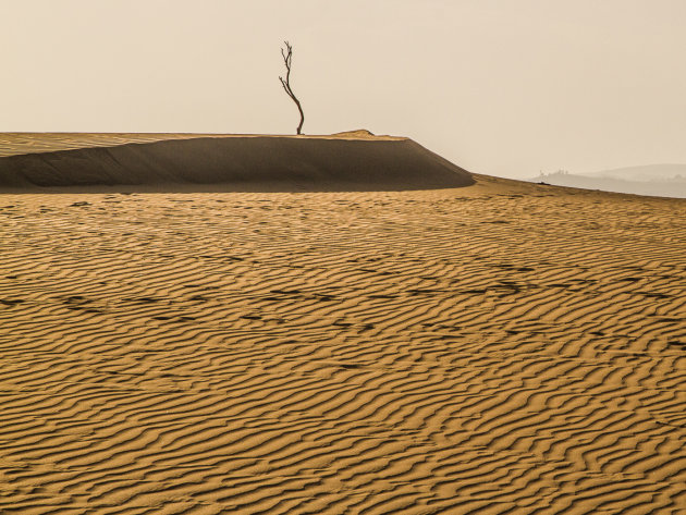 Maspalomas