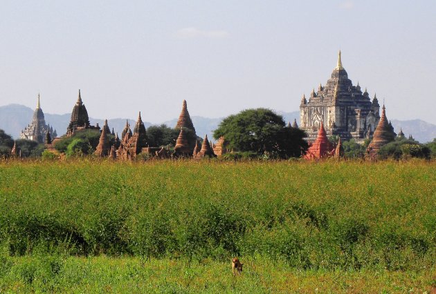 Bagan