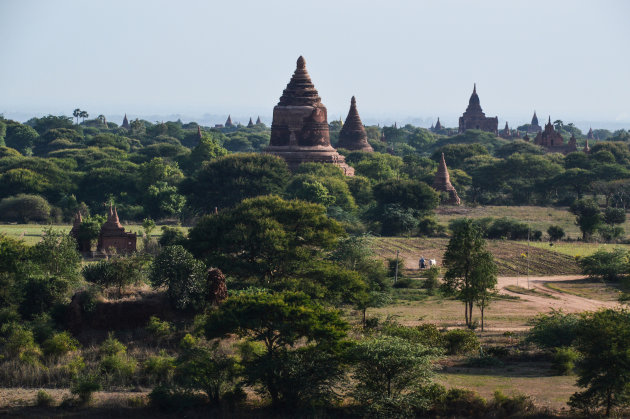 Bagan