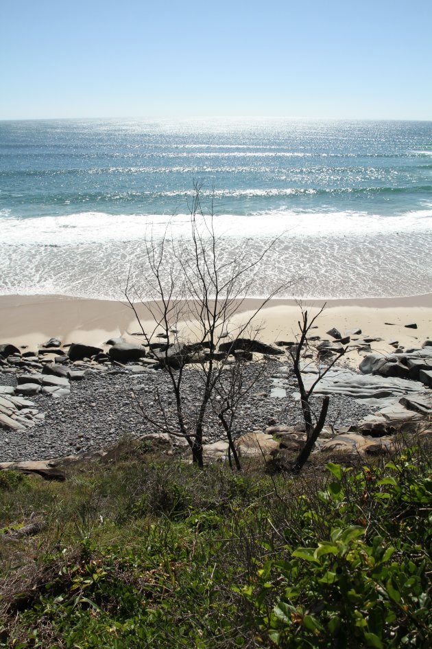 Noosa Beach 