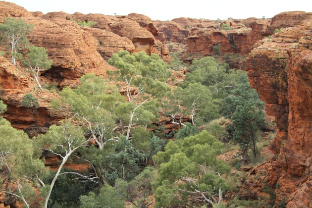 Kings Canyon