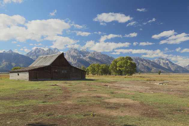 Mormon row