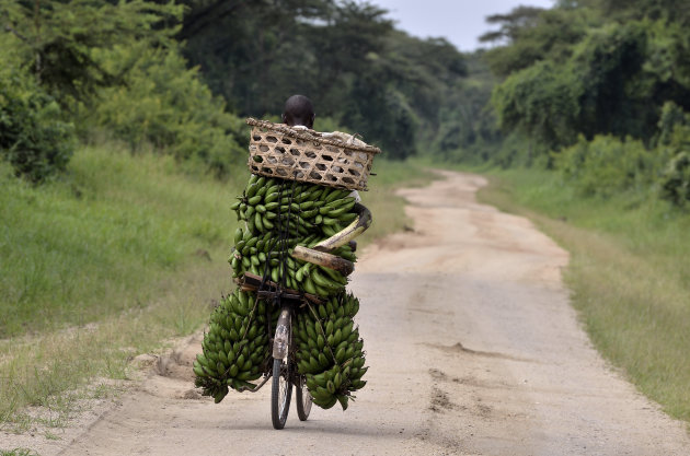 how much can i carry on my bike