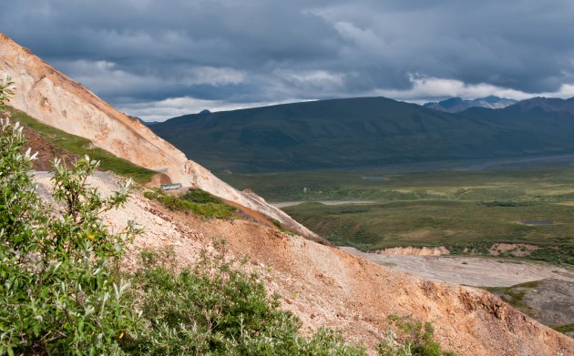 Denali NP I