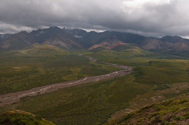 Denali NP II