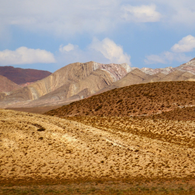 Los cardones berglandscahp