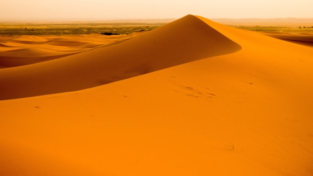 Sahara