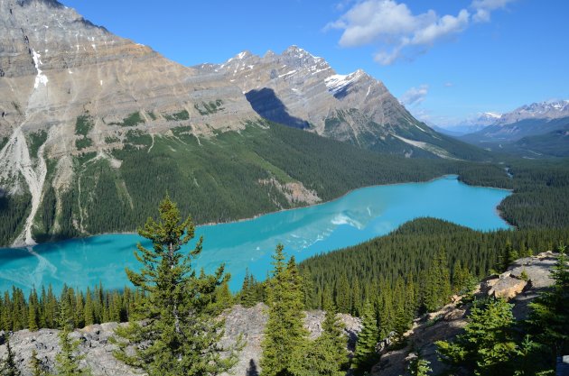 Peyto lake