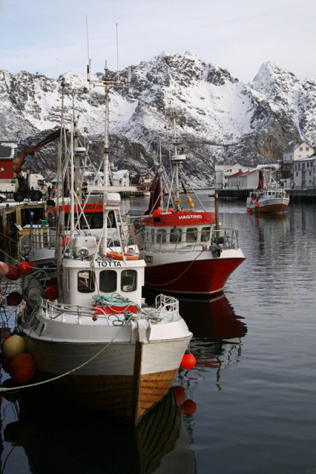 Haven in de sneeuw