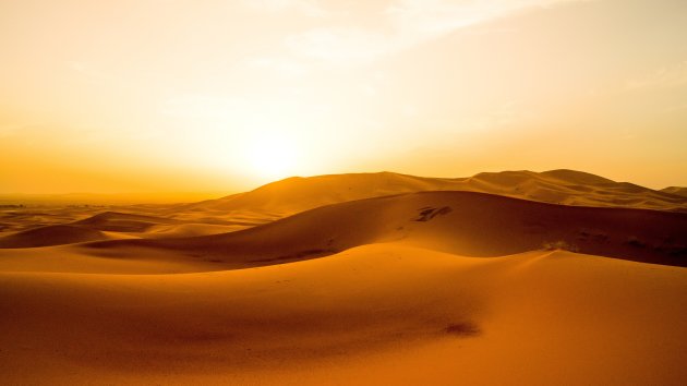 Sahara