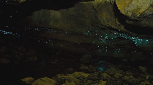 Glow worm caves