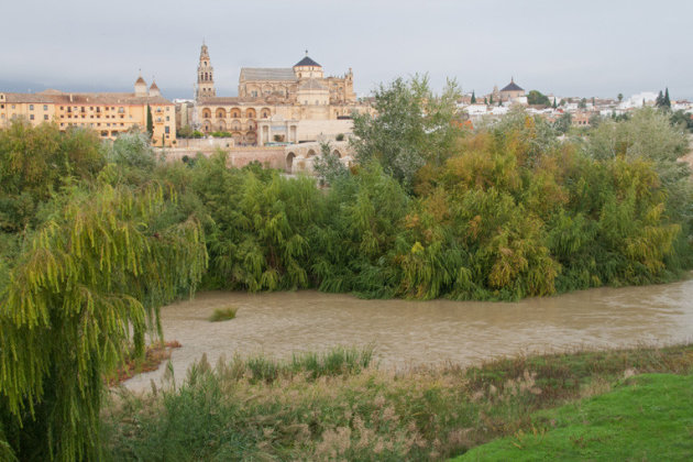 Córdoba