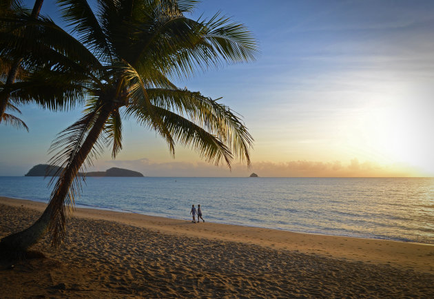 Palm cove beach