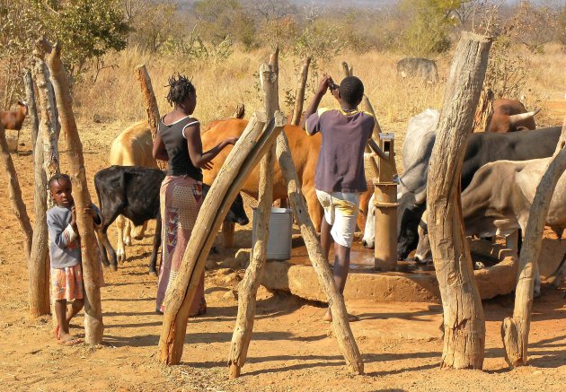 Platteland van Zambia