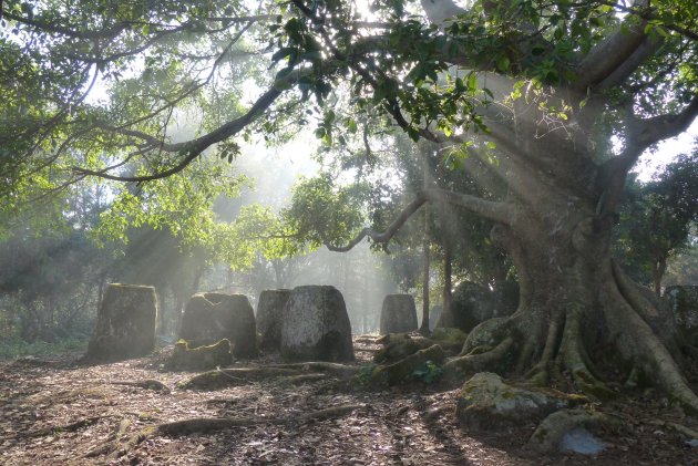 Kruiken in de mist